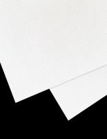 BAOHONG, Бумага для пастели, Лист, 150 гр/м.кв, Цветочный белый, 380х540мм